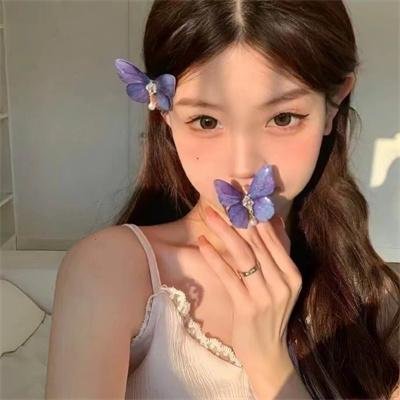 瞒天过海2：长驱直入